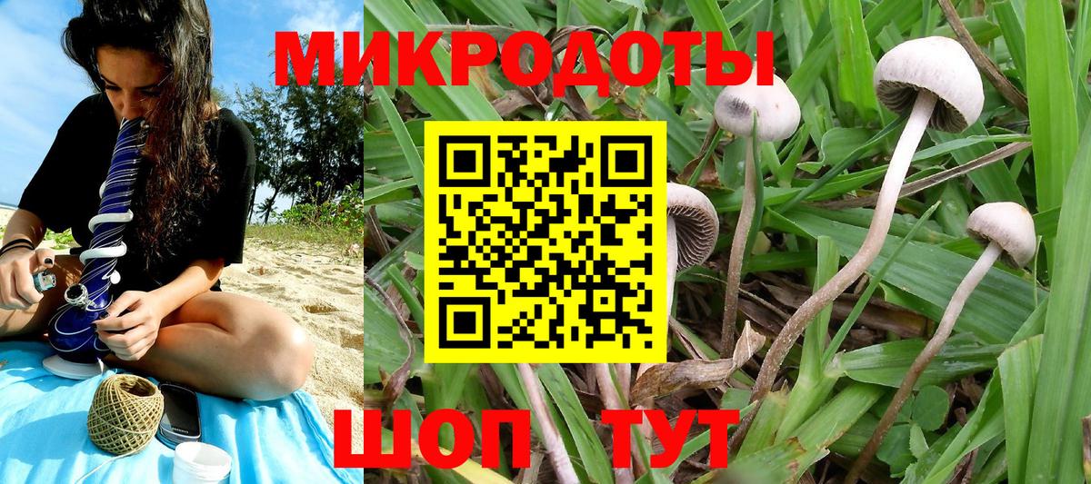 хочу   Псилоцибиновые грибы мухоморы  Вход с VPN  Бийск 